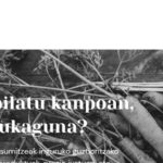 IKO Igeldoko Kooperatiba web