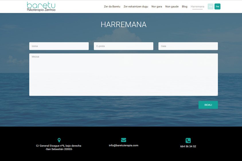 Baretu psikoterapiaren web-orriaren irudia