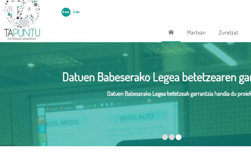 Tapunturen web-orria