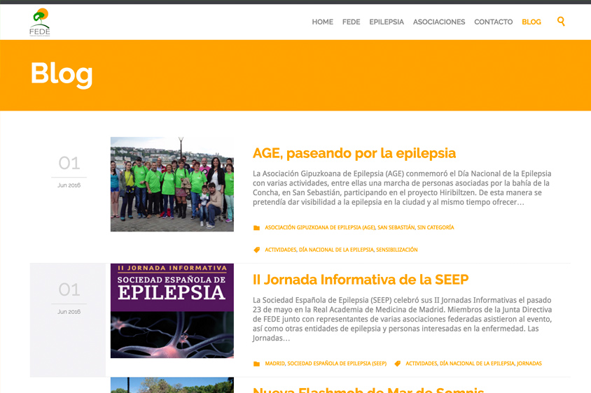 FEDE web nueva